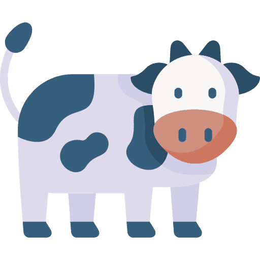  Full Cream Milk 